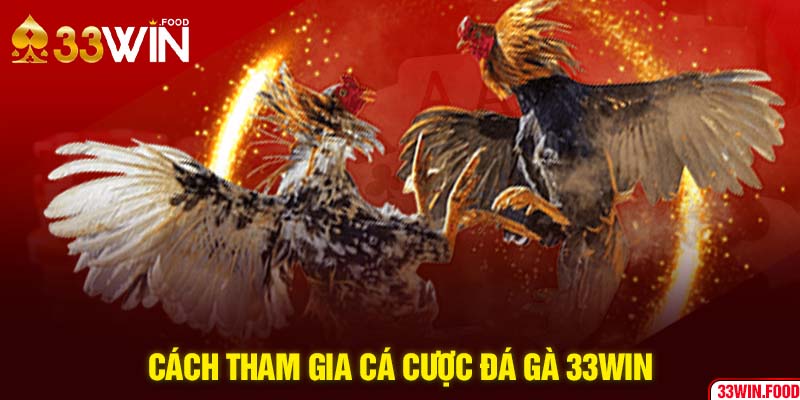 Cách tham gia cá cược đá gà 33WIN