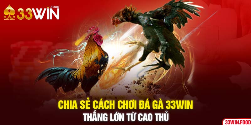 Chia sẻ cách chơi đá gà 33WIN thắng lớn từ cao thủ