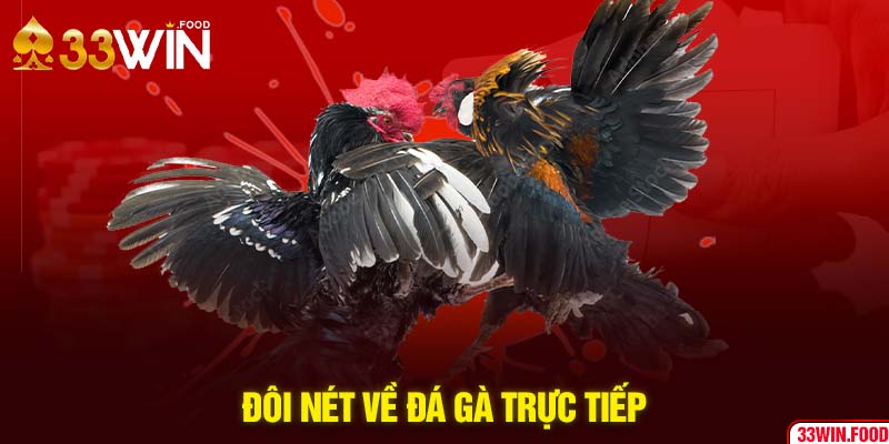 Đôi nét về đá gà trực tiếp