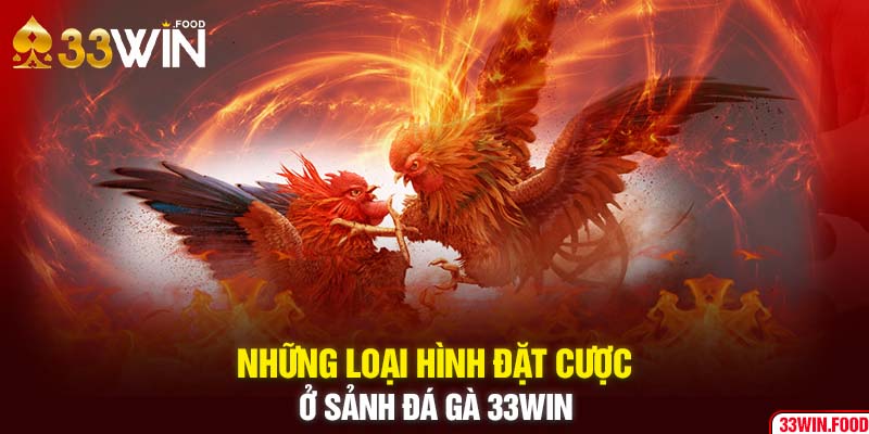 Những loại hình đặt cược ở sảnh đá gà 33WIN