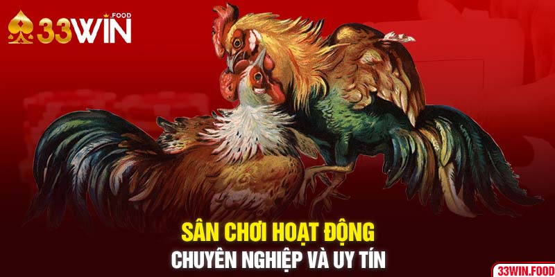 33WIN - Sân chơi đá gà chuyên nghiệp đáng tin cậy nhất hiện nay