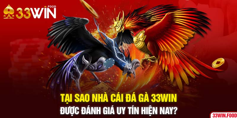 Tại sao nhà cái đá gà 33WIN được đánh giá uy tín hiện nay?